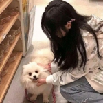 欧意app下载安装